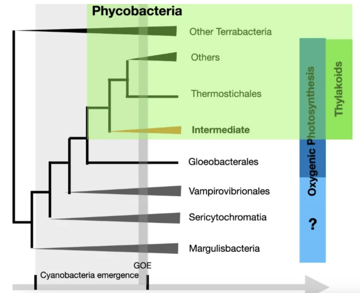 Publications
